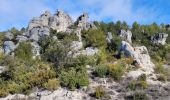 Trail Walking La Roquebrussanne - ROQUEBRUSANNE - Photo 17
