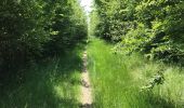 Randonnée Marche Clairmarais - Clairmarai - Photo 4