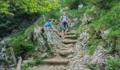 Tocht Stappen Entremont-le-Vieux - Refuge de l'Alpette - Photo 7