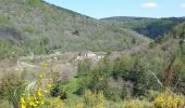 Tocht Stappen Mont Lozère et Goulet - Tournel Oulmes - Photo 1