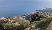 Trail On foot Saint-Raphaël - 2 pics et 3 cols depuis le parking d' Antheor - Photo 7