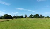 Tocht Stappen Riemst - kanne . carrière . château fort st pierre . château neerkanne - Photo 14