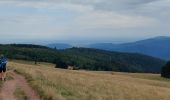 Tour Wandern Linthal - Hilsen-Hilsenfirst-Petit Ballon-Hilsen - Photo 3