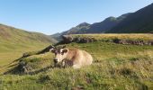 Tour Wandern Borce - Chemin de l'escalé - Photo 9