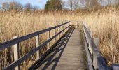 Trail Walking Oupeye - Promenade Trail Walking Oupeye - Promenade