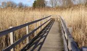 Tocht Stappen Oupeye - Promenade 