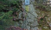 Tocht Te voet Malmedy - Mont Yellow Cross - Photo 10