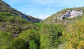 Randonnée Marche Monieux - gorge de la Nesque via GR9 - Photo 4