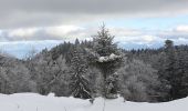 Randonnée Raquettes à neige Divonne-les-Bains - La Vatay Suisse - Photo 7