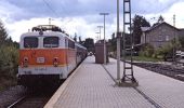 Percorso A piedi Altdorf bei Nürnberg - Altdorf - Photo 9