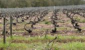 Trail Walking Les Riceys - Ricey bois, cadoles et vignes 13 km - Photo 11