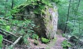 Percorso Marcia Wildenstein - TREK ALSACIEN (boucle sentier de la pierre sauvage) - Photo 9