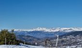 Excursión Raquetas de nieve Seyne - 20250205grandpuy - Photo 3