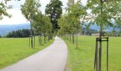 Tocht Te voet Jablonec nad Jizerou - [Ž] Jablonec n. Jiz. - Hvězda - Photo 10