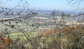 Trail Walking Besançon - dame blanche depuis petites baraques. - Photo 3