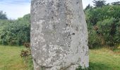 Tour Mountainbike Sarzeau - velo menhir - Photo 1