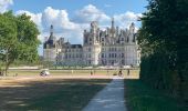 Randonnée Marche Chambord - Chambord 1 - Photo 1