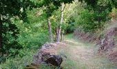 Trail Walking Molompize - Cantal - Molompize - Aurouze et Suc de Védrines - 17.7km 770m 7h05 - 2019 07 02 - Photo 1