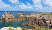 Tour Wandern Île-de-Bréhat - JOURNEE A L'ILE DE BREHAT - Photo 16