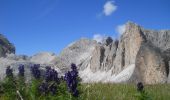 Percorso A piedi Mazzin - Sentiero di Val de Udai - Photo 1