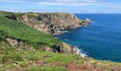 Tour Wandern Cléden-Cap-Sizun - Pointe du Van - Photo 17