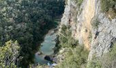 Trail Walking Lussan - Les conclusse depuis Pradeilles - Photo 7