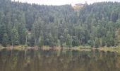 Tocht Stappen Baiersbronn - Hornisgrinde & mummelsee - Photo 14