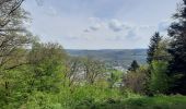 Trail Walking Bouillon - sabots de Godefroid  - Photo 2