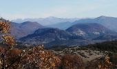 Tocht Stappen La Roche-sur-le-Buis - la montagne de Banne  - Photo 12