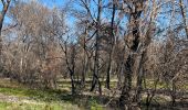 Tocht  Calvisson - Balade entre Calvisson et Aigues Vives - Photo 1