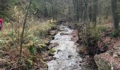 Tour Wandern Stablo - Francorchamps  - Photo 2