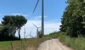 Tocht Stappen Salles-Curan - Randonnée des Éoliennes  - Photo 4