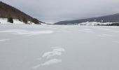 Randonnée Raquettes à neige Les Rousses - lac gèle des Rousses - Photo 2