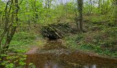 Tocht Stappen Hotton - Balade à Hotton - Photo 13