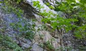 Trail Walking Saint-Laurent-du-Pont - Rocher de Pertuis  - Photo 7
