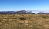 Tour Wandern Baztan - ALKURRUNTZ depuis le parling de Lizarmeak - Photo 9