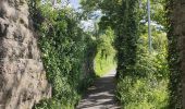 Trail Walking Unknown - Ballade le long de la voie ferrée du train touristique de Caernarfon  - Photo 18