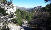 Trail Walking Marseille - Massif du Puget grande Candelle - Photo 19