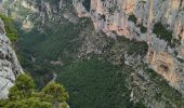 Trail Walking Rougon - Rancoumas - Photo 5