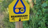 Trail Electric bike La Clusaz - la Clusaz Beauregard Crêt du merle  - Photo 1