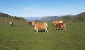 Trail Walking Bayons - BAYONS  . col des Sagnes , Peyrouret , Picouse , bergerie de Gautiere , Piaure , Giaire n - Photo 6