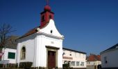 Tour Zu Fuß Siegendorf - Königsschüssel-Tour (Vital-Parcours Siegendorf) - Photo 1