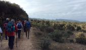 Trail Walking Orgon - PF-Orgon - La Plaine des Alpilles - Photo 5
