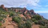 Tour Wandern Saint-Raphaël -  Plateau d’Anthéor & le Pic du Cap Roux - Photo 1