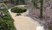 Trail Walking Auvers-Saint-Georges - Auvers saint Georges B - Photo 3