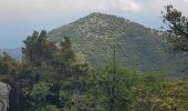 Trail Walking Sainte-Agnès - Mont Ours - Photo 8