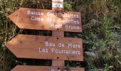 Tour Wandern Toudon - FFR - la Cime des Colettes  - Photo 13