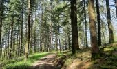 Tour Wandern Bouillon - sabots de Godefroid  - Photo 9