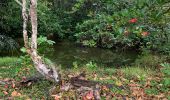 Trail Walking Sainte-Anne - La boucle  - Photo 2