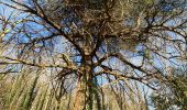 Trail Walking Saint-Jean-sur-Mayenne - Château de la Merveile - Photo 2